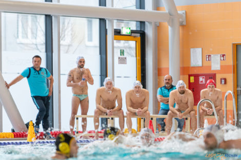 Box Logistics Waterpolo Poznań -  Łukosz WTS Polonia Bytom  Foto: lepszyPOZNAN.pl/Piotr Rychter