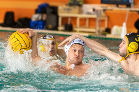 Box Logistics Waterpolo Poznań -  Łukosz WTS Polonia Bytom  Foto: lepszyPOZNAN.pl/Piotr Rychter