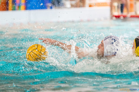 Box Logistics Waterpolo Poznań -  Łukosz WTS Polonia Bytom  Foto: lepszyPOZNAN.pl/Piotr Rychter