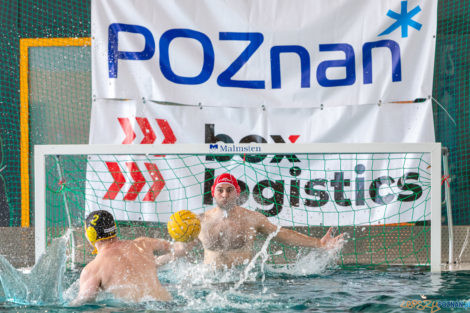 Box Logistics Waterpolo Poznań -  Łukosz WTS Polonia Bytom  Foto: lepszyPOZNAN.pl/Piotr Rychter