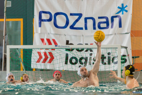 Box Logistics Waterpolo Poznań -  Łukosz WTS Polonia Bytom  Foto: lepszyPOZNAN.pl/Piotr Rychter