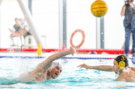 Box Logistics Waterpolo Poznań -  Łukosz WTS Polonia Bytom  Foto: lepszyPOZNAN.pl/Piotr Rychter