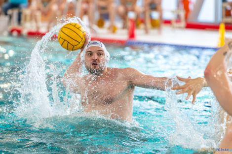 Box Logistics Waterpolo Poznań -  Łukosz WTS Polonia Bytom  Foto: lepszyPOZNAN.pl/Piotr Rychter