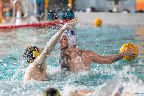 Box Logistics Waterpolo Poznań -  Łukosz WTS Polonia Bytom  Foto: lepszyPOZNAN.pl/Piotr Rychter