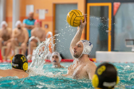 Box Logistics Waterpolo Poznań -  Łukosz WTS Polonia Bytom  Foto: lepszyPOZNAN.pl/Piotr Rychter