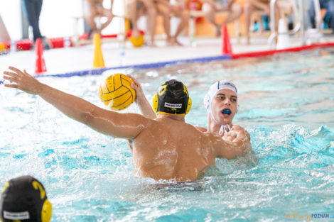 Box Logistics Waterpolo Poznań -  Łukosz WTS Polonia Bytom  Foto: lepszyPOZNAN.pl/Piotr Rychter