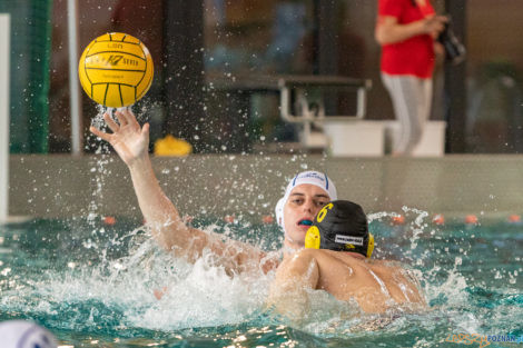 Box Logistics Waterpolo Poznań -  Łukosz WTS Polonia Bytom  Foto: lepszyPOZNAN.pl/Piotr Rychter