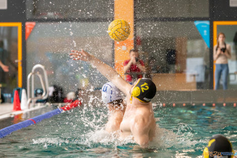 Box Logistics Waterpolo Poznań -  Łukosz WTS Polonia Bytom  Foto: lepszyPOZNAN.pl/Piotr Rychter