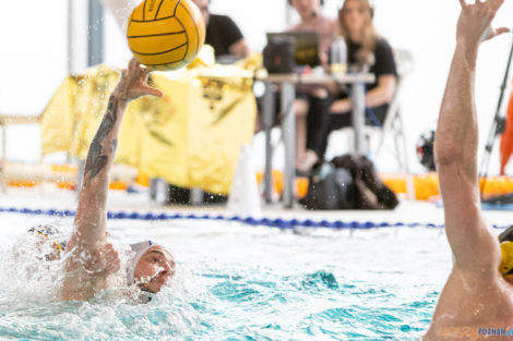 Box Logistics Waterpolo Poznań -  Łukosz WTS Polonia Bytom  Foto: lepszyPOZNAN.pl/Piotr Rychter