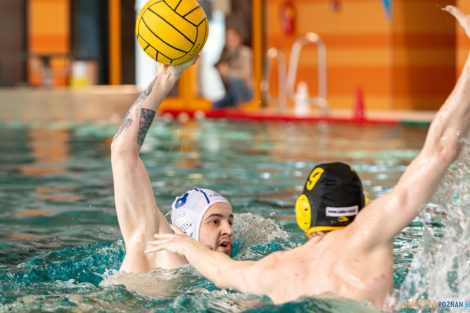 Box Logistics Waterpolo Poznań -  Łukosz WTS Polonia Bytom  Foto: lepszyPOZNAN.pl/Piotr Rychter