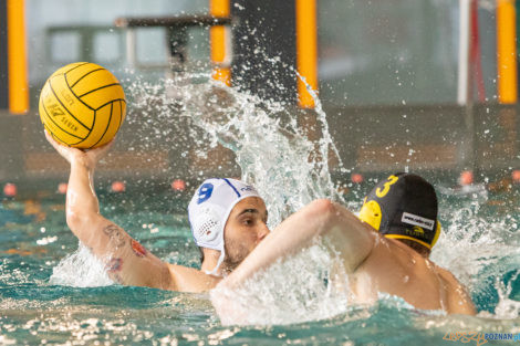 Box Logistics Waterpolo Poznań -  Łukosz WTS Polonia Bytom  Foto: lepszyPOZNAN.pl/Piotr Rychter