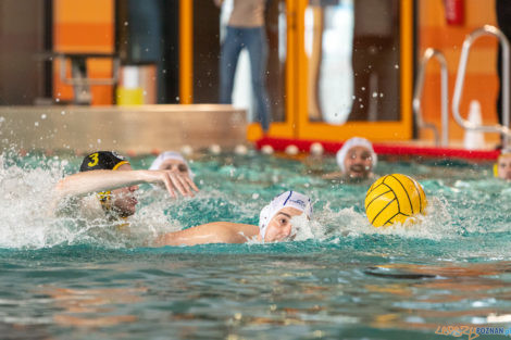 Box Logistics Waterpolo Poznań -  Łukosz WTS Polonia Bytom  Foto: lepszyPOZNAN.pl/Piotr Rychter