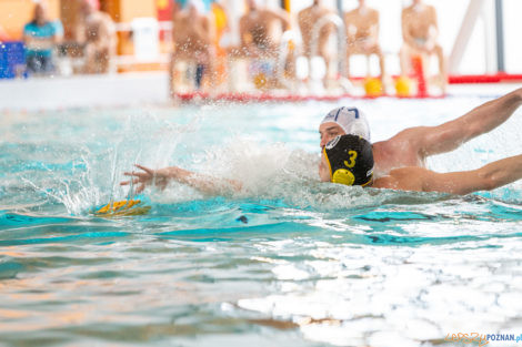 Box Logistics Waterpolo Poznań -  Łukosz WTS Polonia Bytom  Foto: lepszyPOZNAN.pl/Piotr Rychter