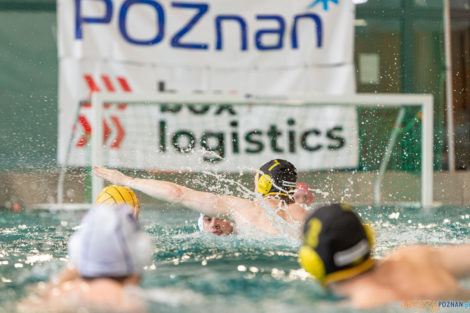 Box Logistics Waterpolo Poznań -  Łukosz WTS Polonia Bytom  Foto: lepszyPOZNAN.pl/Piotr Rychter