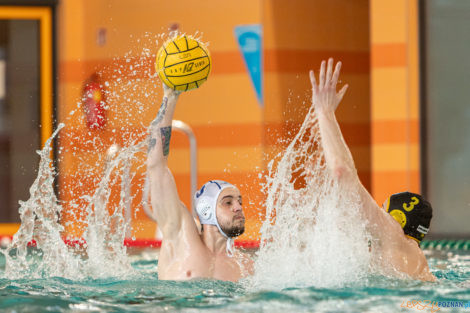 Box Logistics Waterpolo Poznań -  Łukosz WTS Polonia Bytom  Foto: lepszyPOZNAN.pl/Piotr Rychter