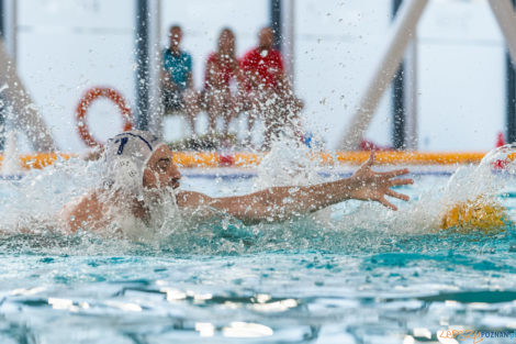 Box Logistics Waterpolo Poznań -  Łukosz WTS Polonia Bytom  Foto: lepszyPOZNAN.pl/Piotr Rychter