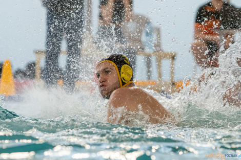 Box Logistics Waterpolo Poznań -  Łukosz WTS Polonia Bytom  Foto: lepszyPOZNAN.pl/Piotr Rychter