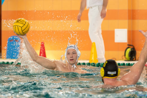 Box Logistics Waterpolo Poznań -  Łukosz WTS Polonia Bytom  Foto: lepszyPOZNAN.pl/Piotr Rychter