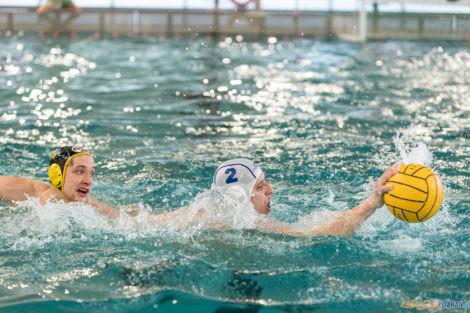 Box Logistics Waterpolo Poznań -  Łukosz WTS Polonia Bytom  Foto: lepszyPOZNAN.pl/Piotr Rychter