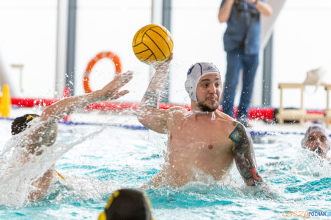 Box Logistics Waterpolo Poznań -  Łukosz WTS Polonia Bytom  Foto: lepszyPOZNAN.pl/Piotr Rychter