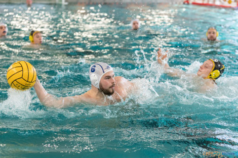 Box Logistics Waterpolo Poznań -  Łukosz WTS Polonia Bytom  Foto: lepszyPOZNAN.pl/Piotr Rychter