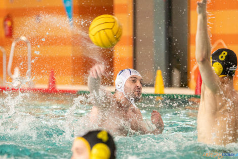 Box Logistics Waterpolo Poznań -  Łukosz WTS Polonia Bytom  Foto: lepszyPOZNAN.pl/Piotr Rychter