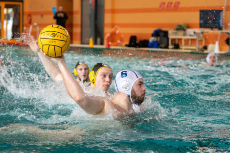 Box Logistics Waterpolo Poznań -  Łukosz WTS Polonia Bytom  Foto: lepszyPOZNAN.pl/Piotr Rychter