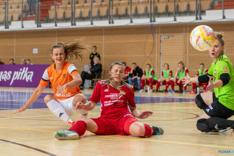 FInał Pucharu Polski - AZS UAM Poznań  Foto: lepszyPOZNAN.pl/Piotr Rychter