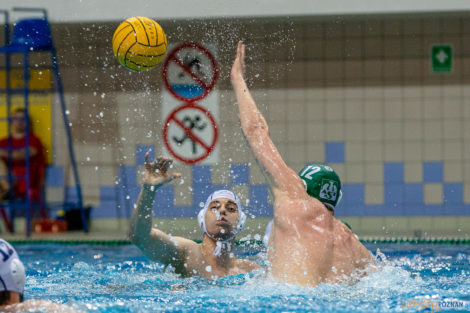 untitled-15_05_2021_waterpolo_awf_warszawa-9346  Foto: lepszyPOZNAN.pl/Piotr Rychter