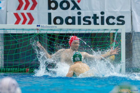 untitled-15_05_2021_waterpolo_awf_warszawa-9452  Foto: lepszyPOZNAN.pl/Piotr Rychter