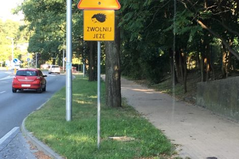 Jeże - znak drogowy  Foto: Uniwerystet Przyrodniczy w Poznaniu 