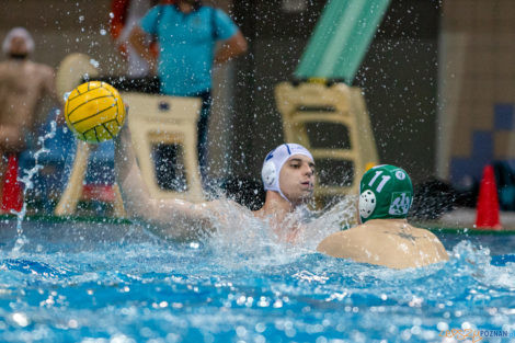 untitled-15_05_2021_waterpolo_awf_warszawa-9375  Foto: lepszyPOZNAN.pl/Piotr Rychter