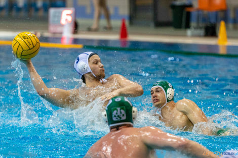 untitled-15_05_2021_waterpolo_awf_warszawa-9543  Foto: lepszyPOZNAN.pl/Piotr Rychter