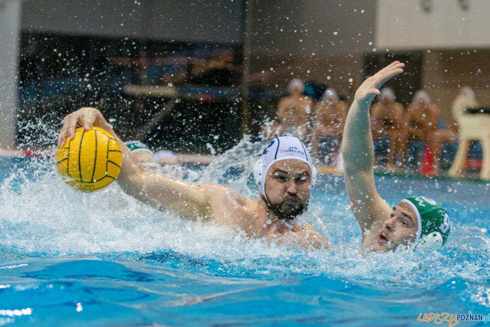 untitled-15_05_2021_waterpolo_awf_warszawa-9433  Foto: lepszyPOZNAN.pl/Piotr Rychter