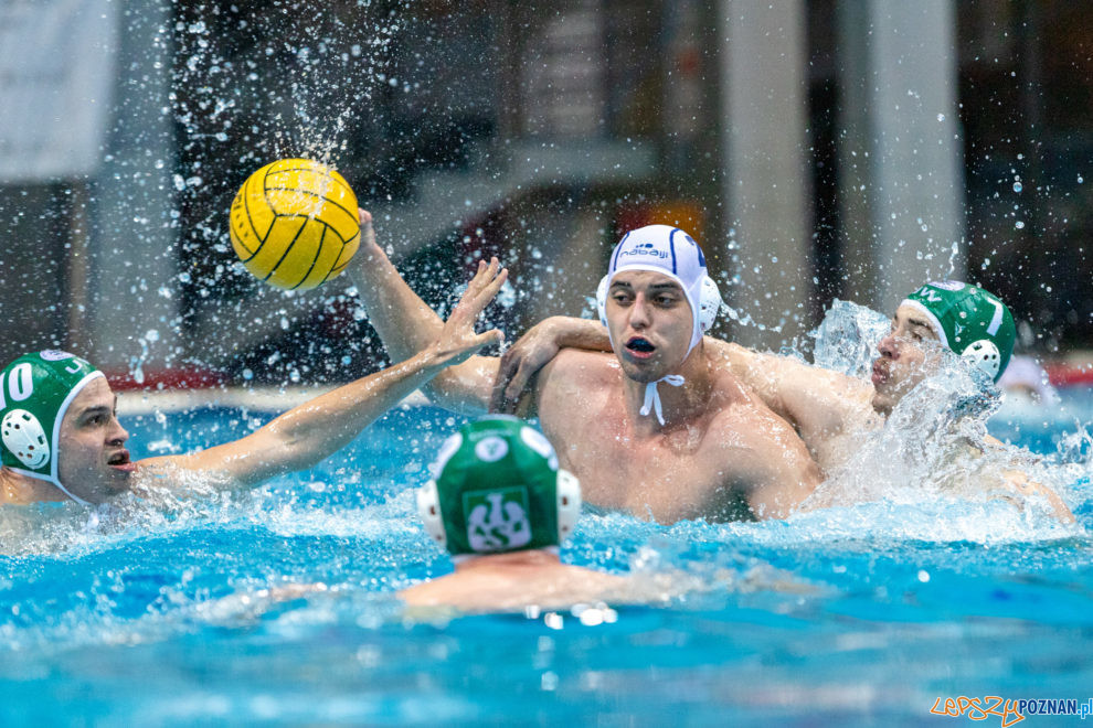 untitled-15_05_2021_waterpolo_awf_warszawa-9502  Foto: lepszyPOZNAN.pl/Piotr Rychter