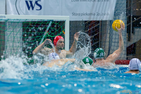 untitled-15_05_2021_waterpolo_awf_warszawa-9371  Foto: lepszyPOZNAN.pl/Piotr Rychter