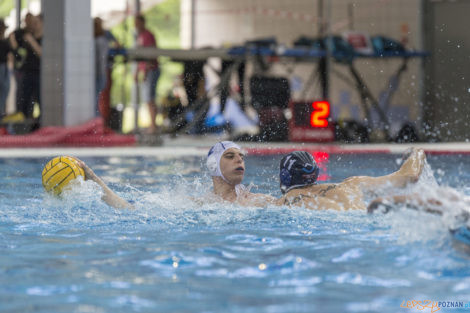 Box Logistics Waterpolo Poznań - ŁSTW OCMER Łódź  Foto: lepszyPOZNAN.pl/Ewelina Jaśkowiak