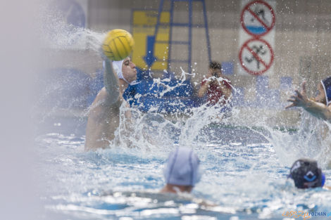 Box Logistics Waterpolo Poznań - ŁSTW OCMER Łódź  Foto: lepszyPOZNAN.pl/Ewelina Jaśkowiak