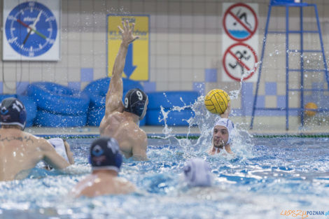 Box Logistics Waterpolo Poznań - ŁSTW OCMER Łódź  Foto: lepszyPOZNAN.pl/Ewelina Jaśkowiak