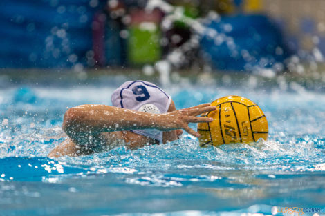 Box Logistics Waterpolo Poznań - ŁSTW OCMER Łódź  Foto: lepszyPOZNAN.pl/Piotr Rychter