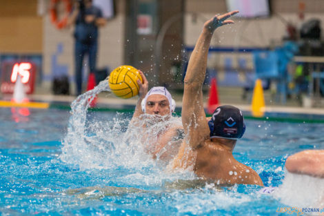 Box Logistics Waterpolo Poznań - ŁSTW OCMER Łódź  Foto: lepszyPOZNAN.pl/Piotr Rychter