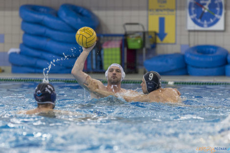 Box Logistics Waterpolo Poznań - ŁSTW OCMER Łódź  Foto: lepszyPOZNAN.pl/Ewelina Jaśkowiak