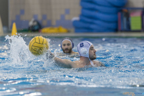 Box Logistics Waterpolo Poznań - ŁSTW OCMER Łódź  Foto: lepszyPOZNAN.pl/Ewelina Jaśkowiak