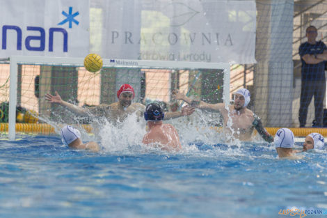 Box Logistics Waterpolo Poznań - ŁSTW OCMER Łódź  Foto: lepszyPOZNAN.pl/Ewelina Jaśkowiak