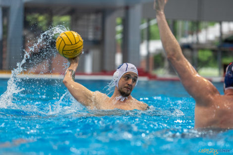 Box Logistics Waterpolo Poznań - ŁSTW OCMER Łódź  Foto: lepszyPOZNAN.pl/Piotr Rychter