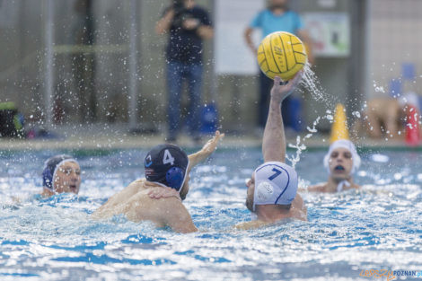 Box Logistics Waterpolo Poznań - ŁSTW OCMER Łódź  Foto: lepszyPOZNAN.pl/Ewelina Jaśkowiak