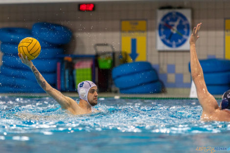 Box Logistics Waterpolo Poznań - ŁSTW OCMER Łódź  Foto: lepszyPOZNAN.pl/Piotr Rychter