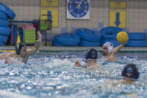 Box Logistics Waterpolo Poznań - ŁSTW OCMER Łódź  Foto: lepszyPOZNAN.pl/Ewelina Jaśkowiak