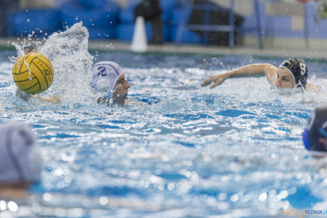 Box Logistics Waterpolo Poznań - ŁSTW OCMER Łódź  Foto: lepszyPOZNAN.pl/Ewelina Jaśkowiak