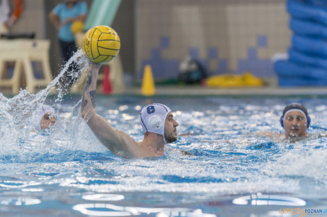 Box Logistics Waterpolo Poznań - ŁSTW OCMER Łódź  Foto: lepszyPOZNAN.pl/Ewelina Jaśkowiak